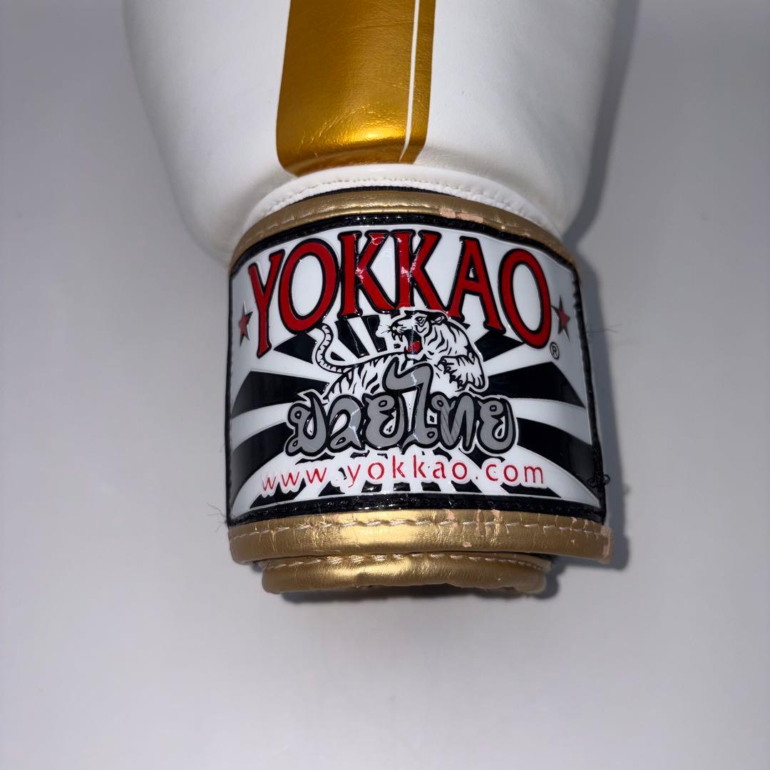 【希少モデル】 YOKKAO ヨッカオ 10オンス ボクシング グローブ