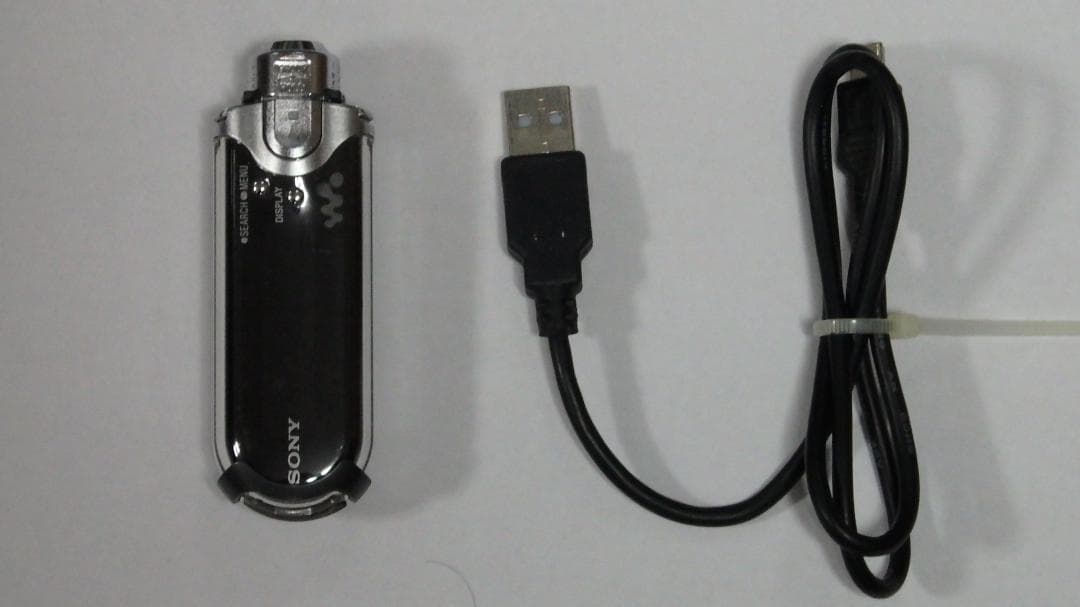 SONY ウォークマン WALKMAN NW-E407