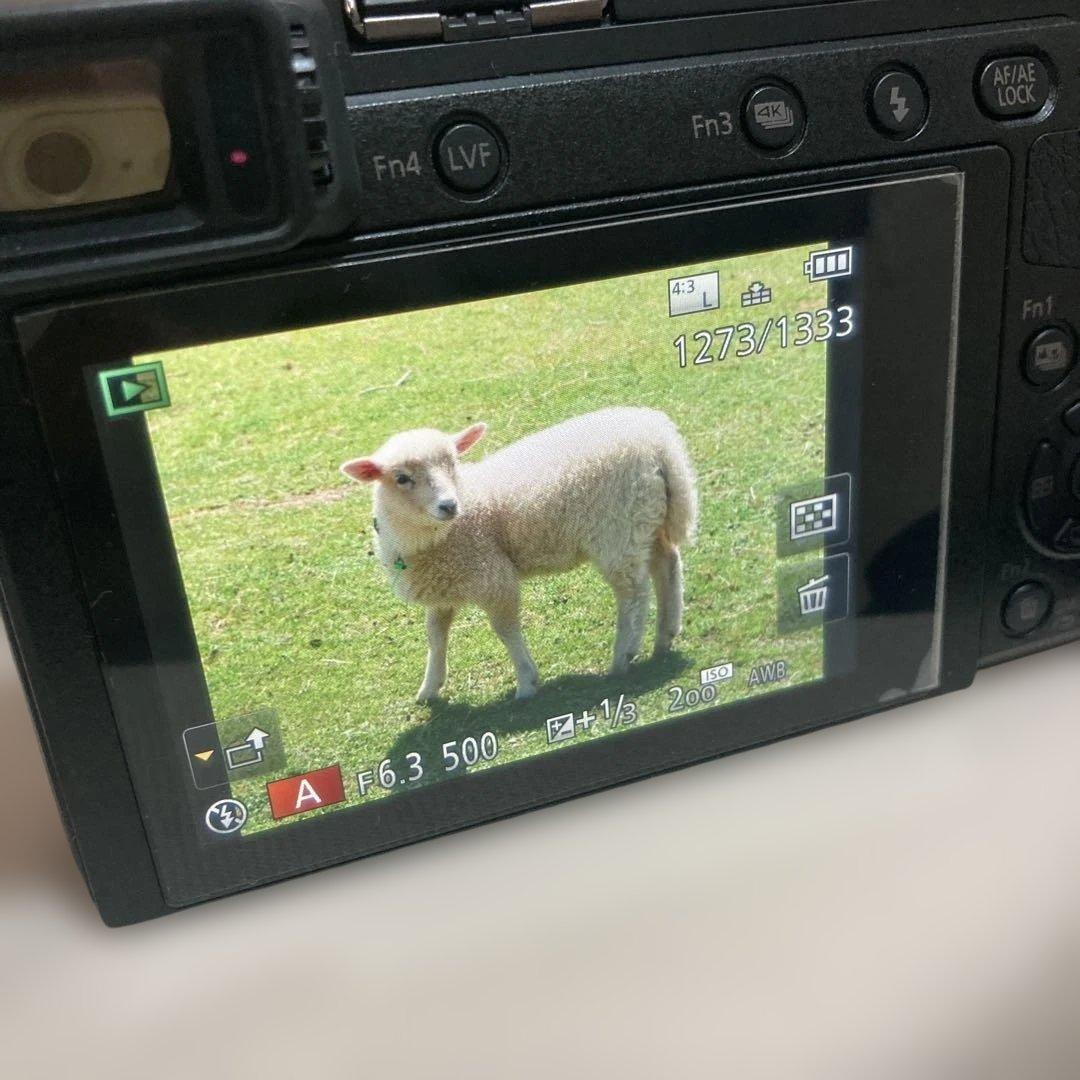 【美品 箱付】パナソニック Panasonic LUMIX DMC-GX7MK2