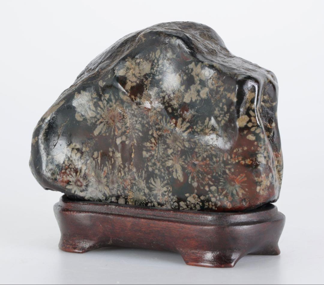 あ*げ様 根尾川産 六華　菊花石 小菊明瞭 台座・共箱付 鑑賞石 盆石 紋石 原