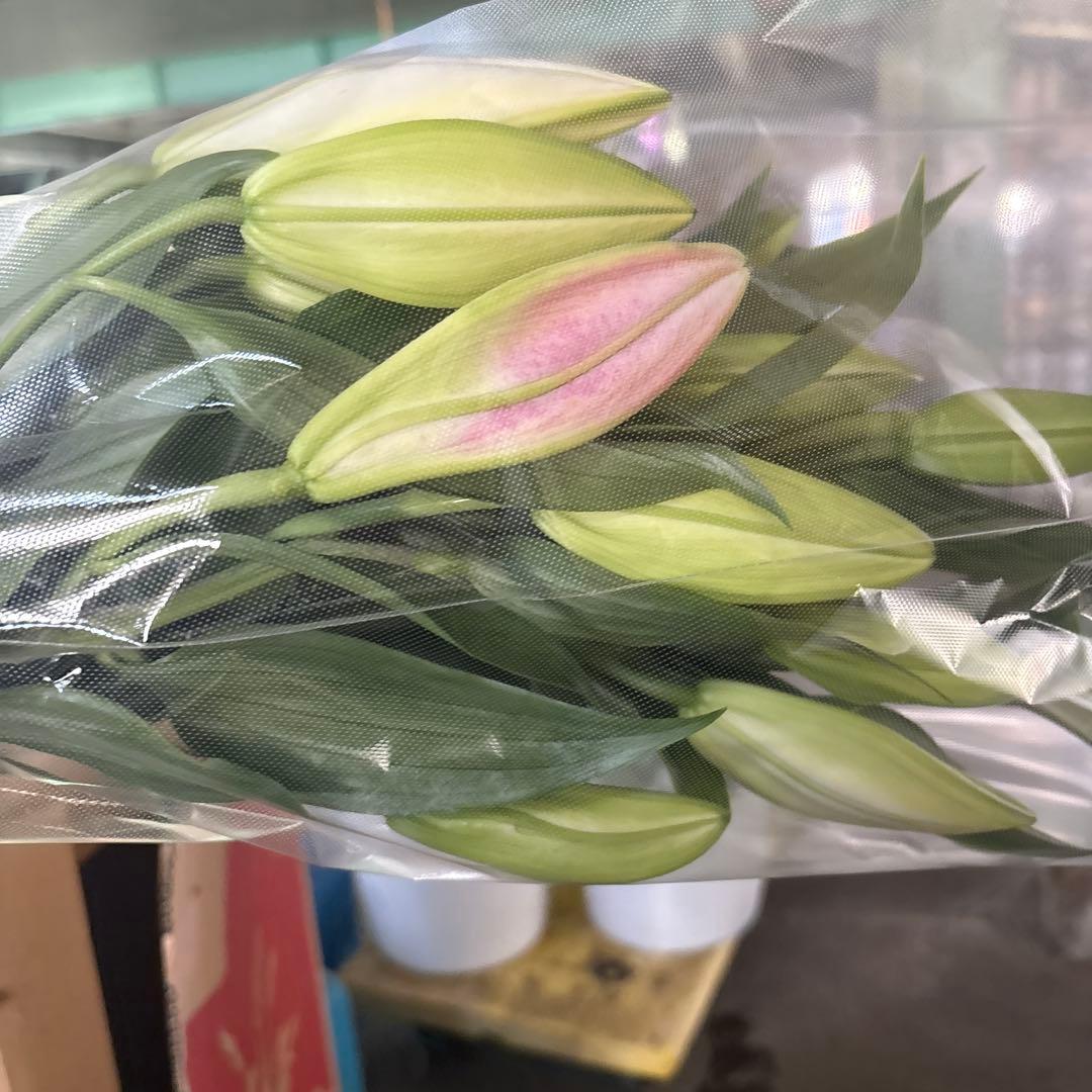 ミニーマウス5 同梱ピンク色百合10本 白百合3〜5輪咲き10本プレミアム