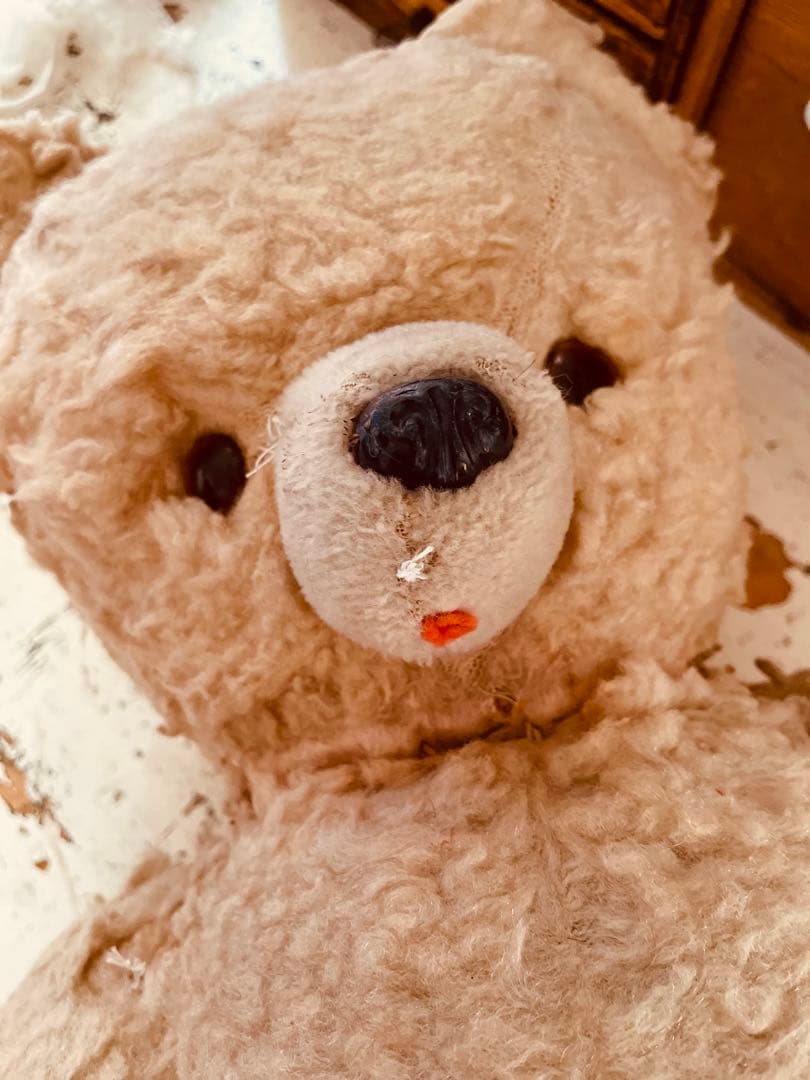 フランス　ヴィンテージベア　モコモコ♡⸝⸝⸝⸝ アンティークベア