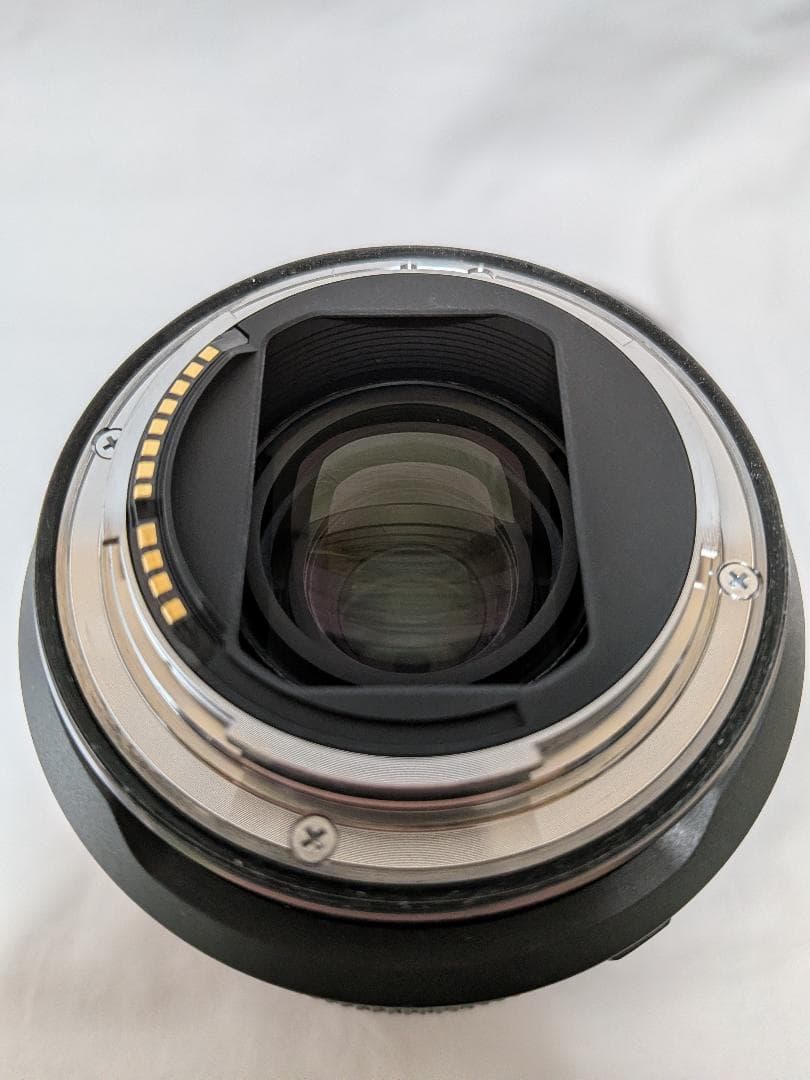 Canon R6 Mark II + RF24-105mm F4L USMキット