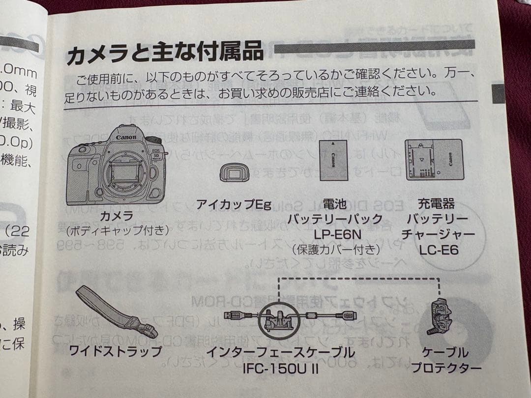 サービスセンターにて点検済　Canon EOS 5D mark 4 付属品完備