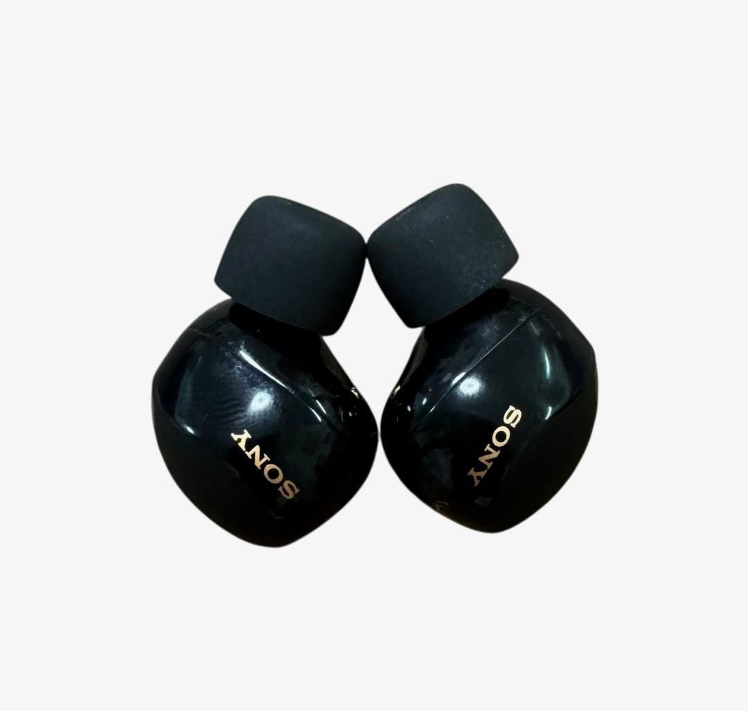 SONY ソニー ワイヤレスイヤホン WF-1000XM5