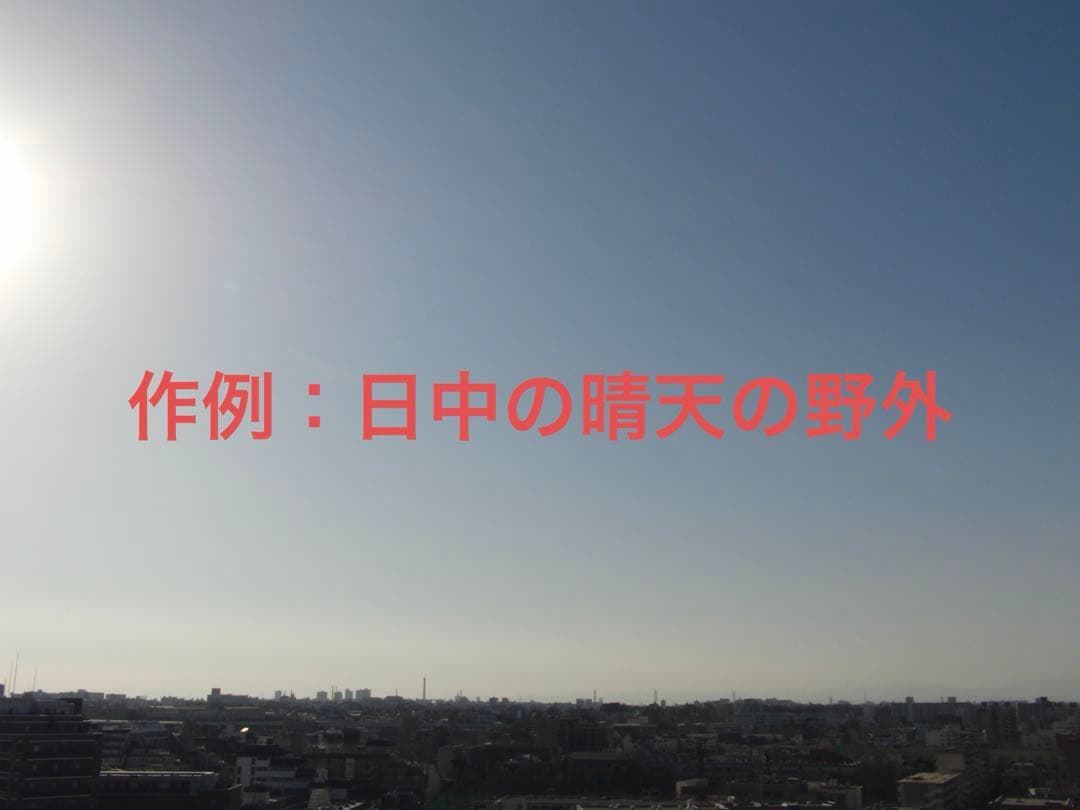 【動作確認済】CASIO カシオ EXILIM EX-FC160S レトロカメラ