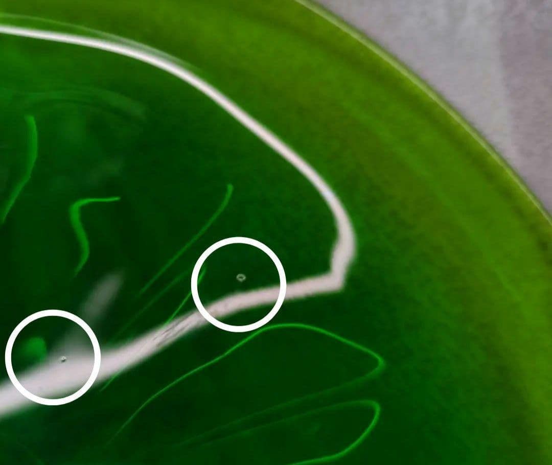 【５枚組】津軽びいどろ 大皿 ガラスプレート　前菜皿　サラダ皿