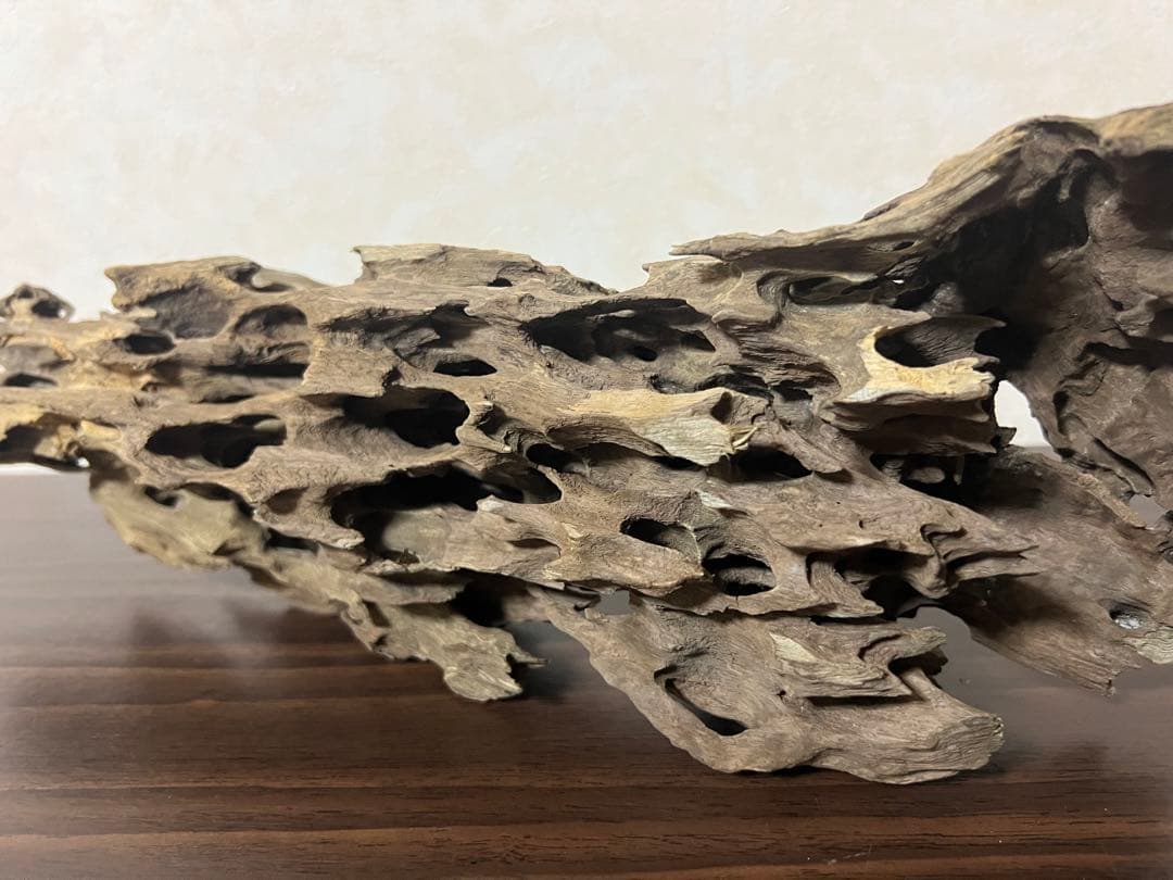 XM-456 流木　マシンガンウッド　アクアリウム　ブランチウッド　沈水確認済