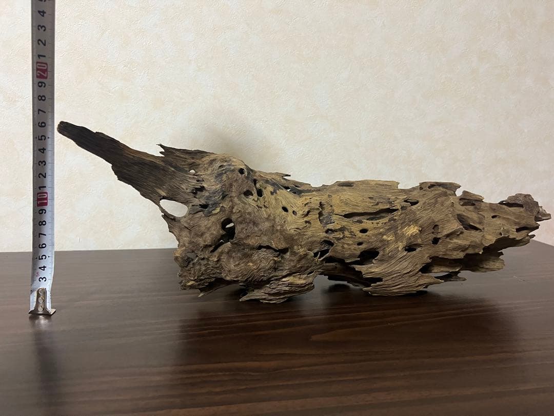 XM-456 流木　マシンガンウッド　アクアリウム　ブランチウッド　沈水確認済