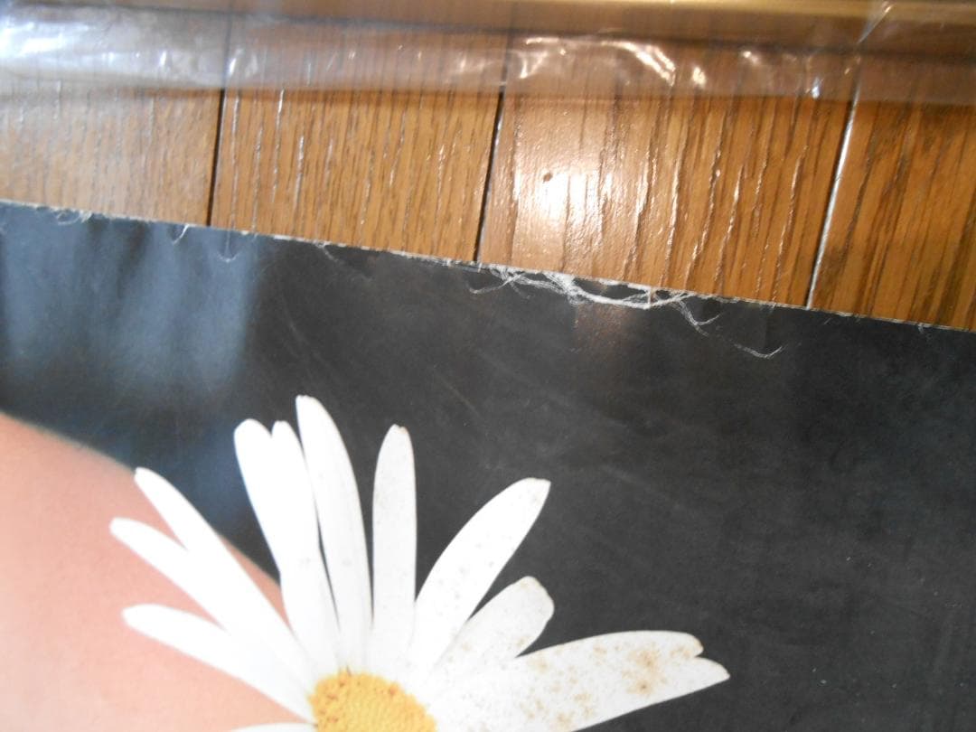 フジカラー写真額「ユルブリンナーさんパネル」＆岡田奈々さんポスター他　昭和