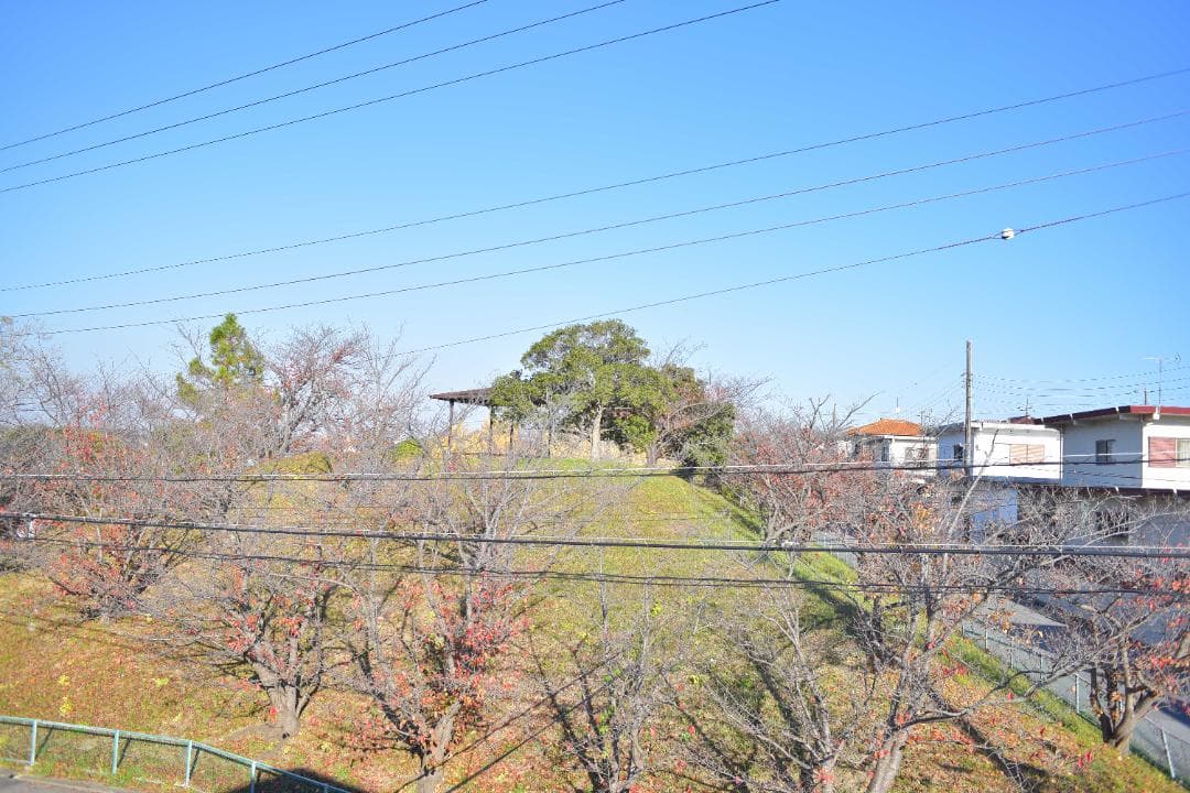レンズ(単焦点) Nikon Ai Nikkor 28mm F2.8 #7803