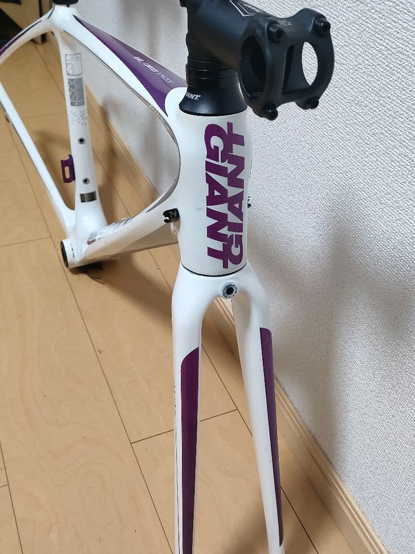 GIANT Liv フルカーボン ロードバイク フレーム xxs 女性/キッズ