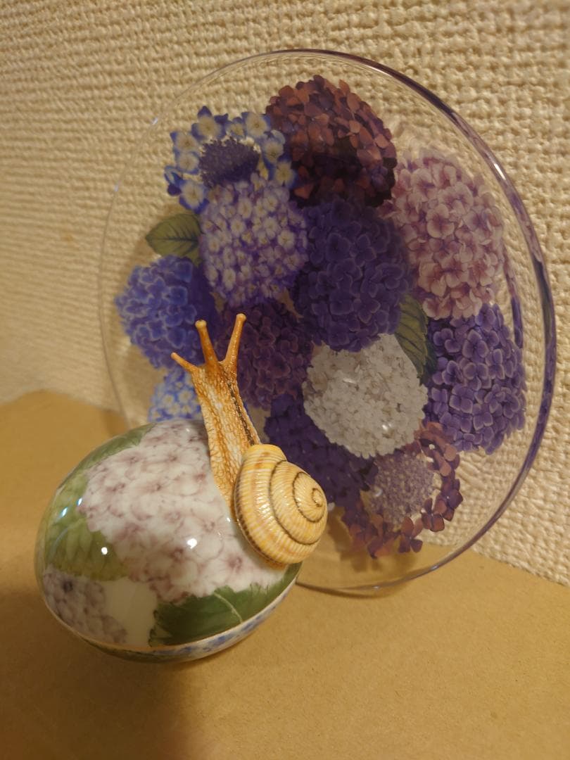 【新品未使用】入手困難作家！春うらら『伊藤早苗』最上位作 釉下彩紫陽花蓋物 共箱