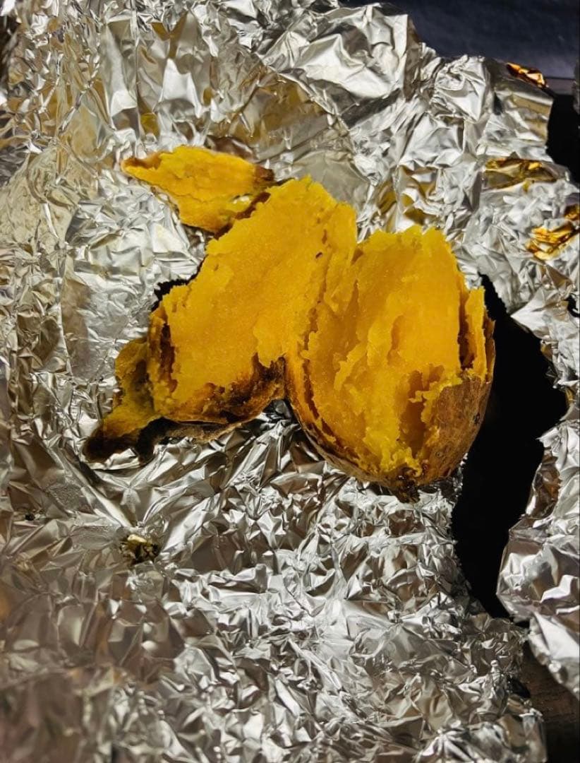 Panasonic 最上位スチームオーブンレンジ　NE-BS1200-RK