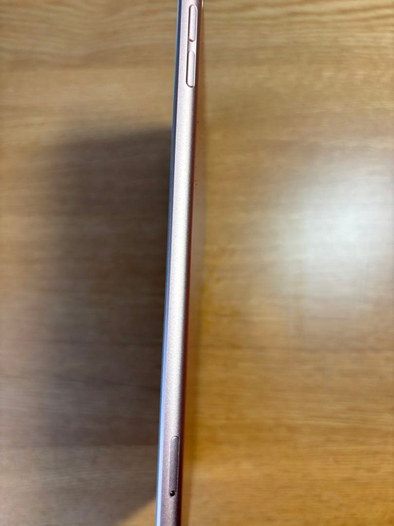 iPad mini第5世代　64GB Wi-Fi+Cellular モデル