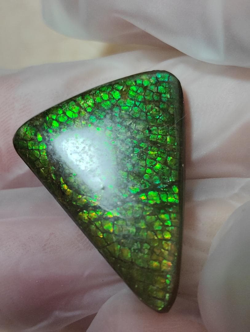 アンモライト　ルース　24-0750 15000