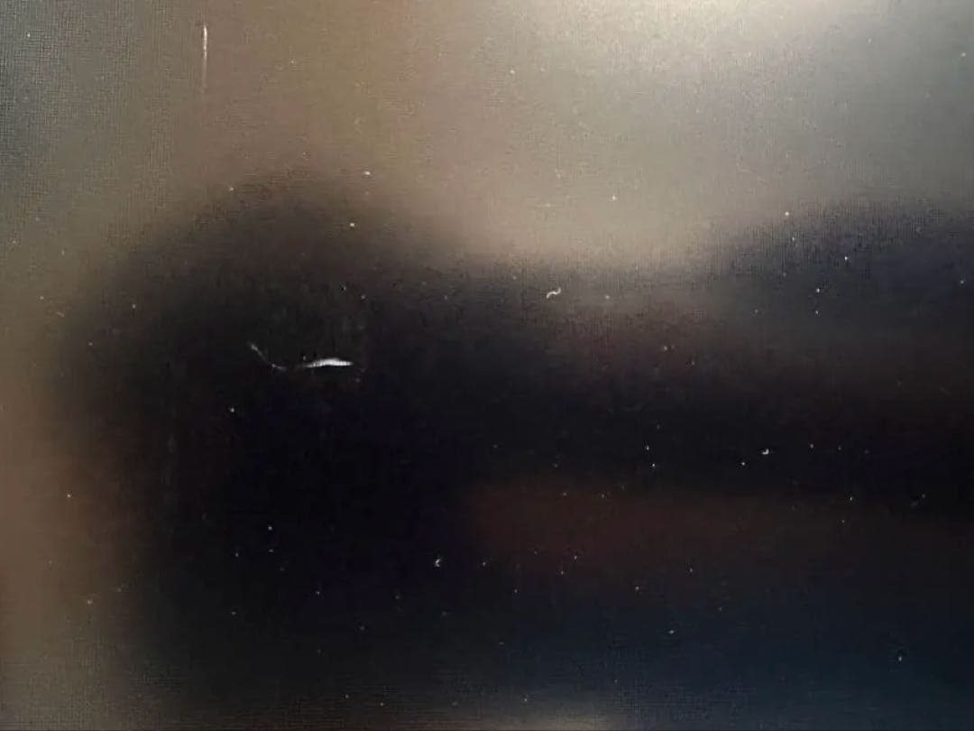 MSI Optix G24C4 湾曲モニター 144Hz フルHD