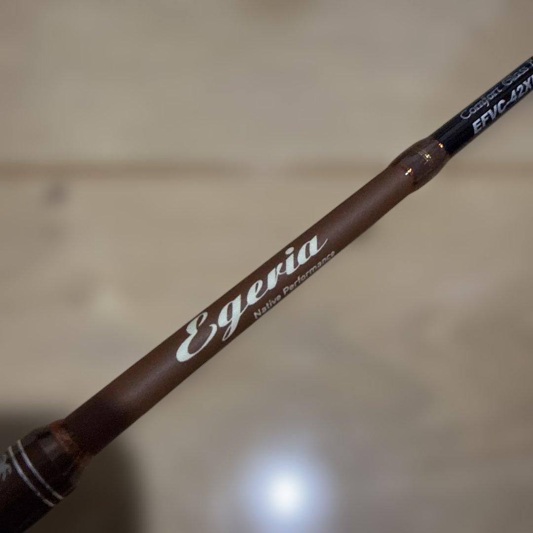 パームス(Palms) エゲリア ネイティブパフォーマンス EFVC-42XUL