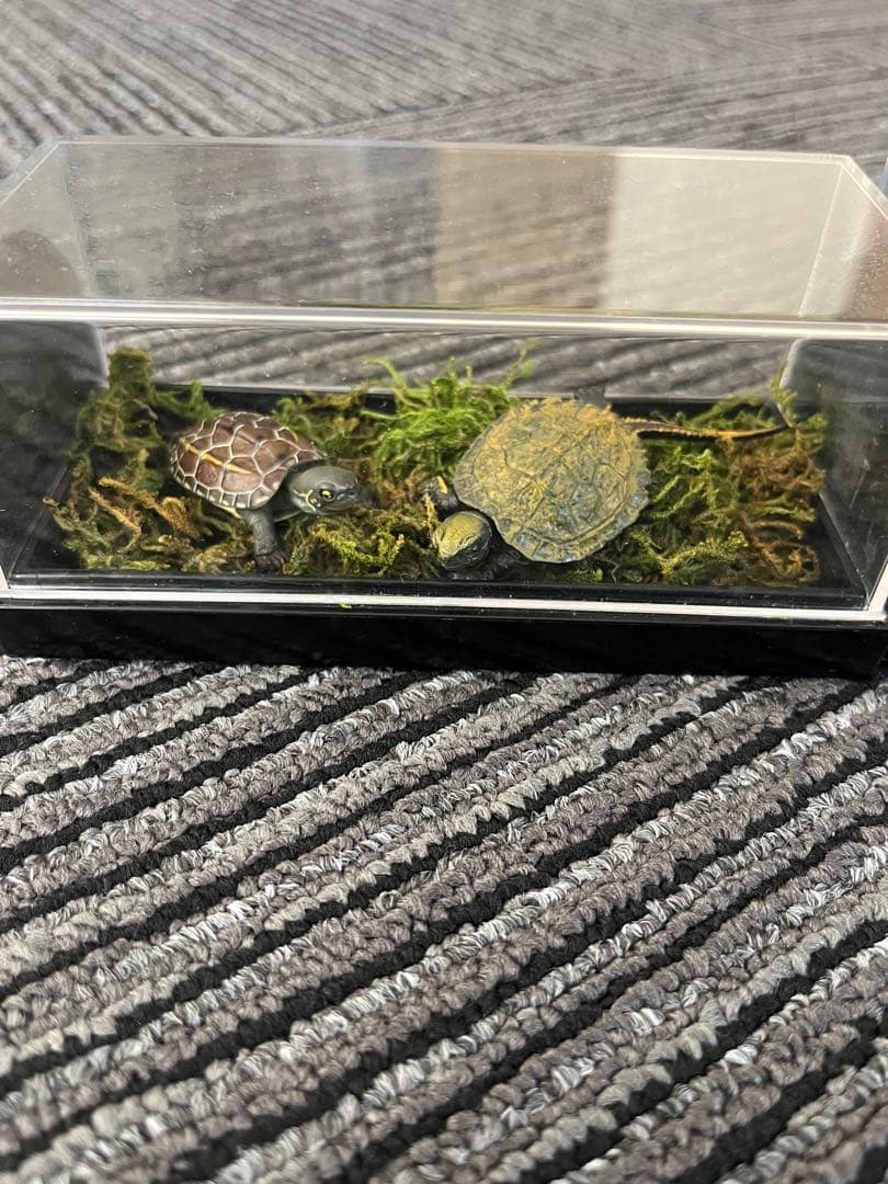 爬虫類　両生類　コレクション