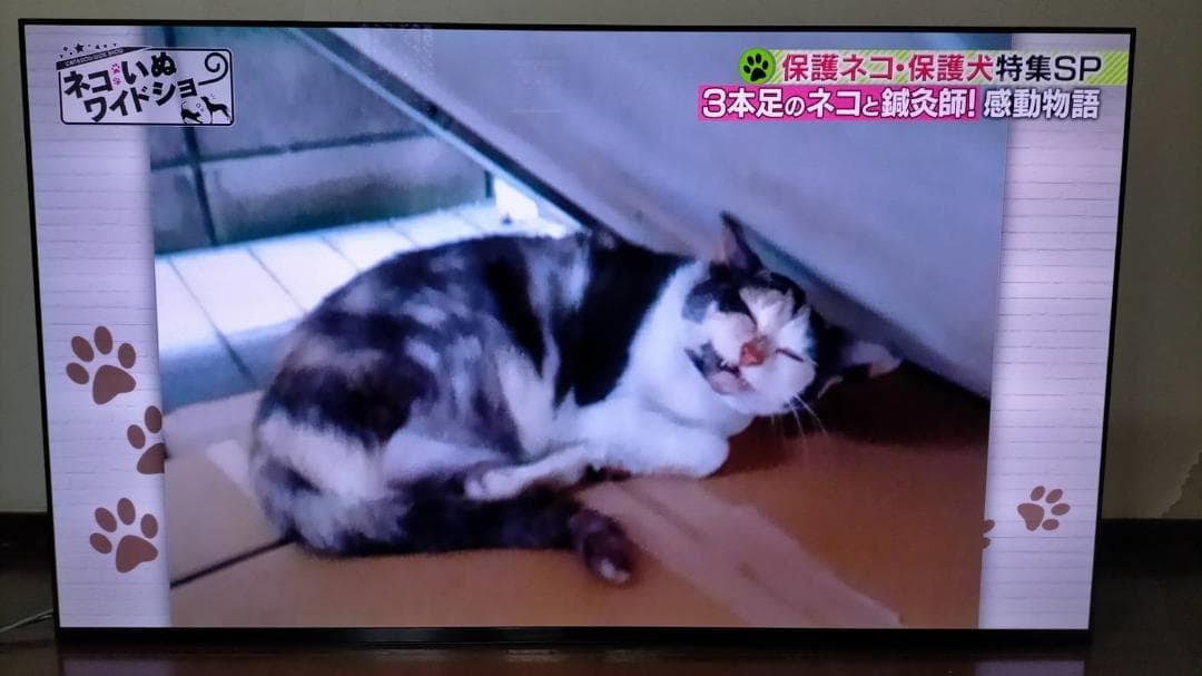 山越BRAVIA有機EL65インチ1/25購入メーカー保証有 匿名送料無料