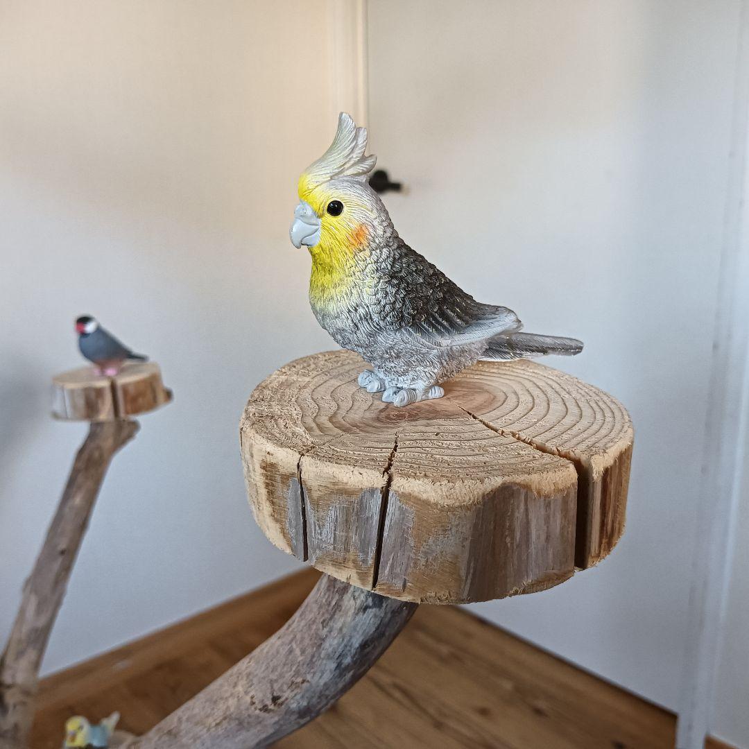 バードアスレチックジム 大型 ⑪ 天然木 自然木 流木 インコ おもちゃ