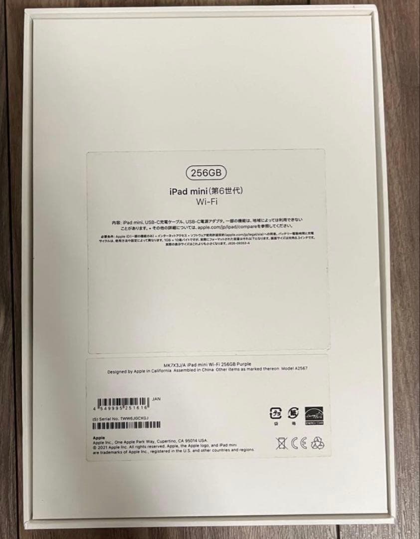 第6世代 256GB iPad mini＋Appl Pencil USB-C