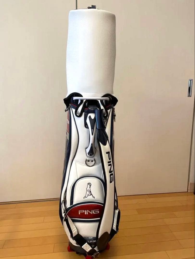 【美品】PING ピン　キャディバックKARSTEN