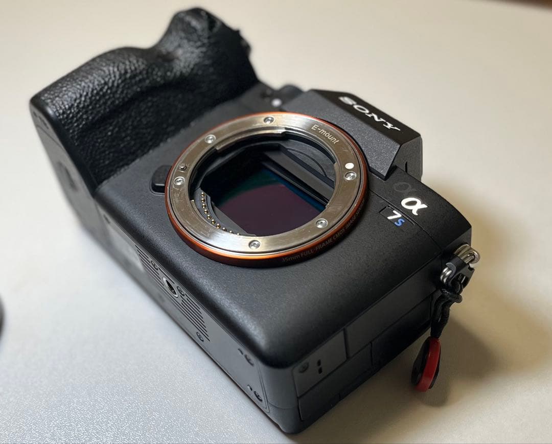 【美品】SONY α7S III ILCE-7SM3 リグ付き
