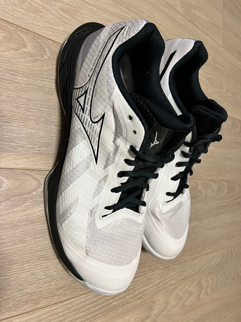 Mizuno ウエーブファングEL2