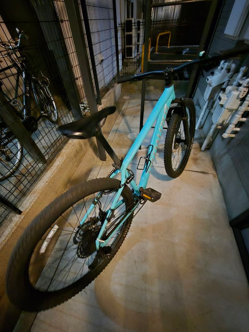 ROCKHOPPER EXPERT29インチ　Mサイズ⚠️説明欄⚠️引き取り限定