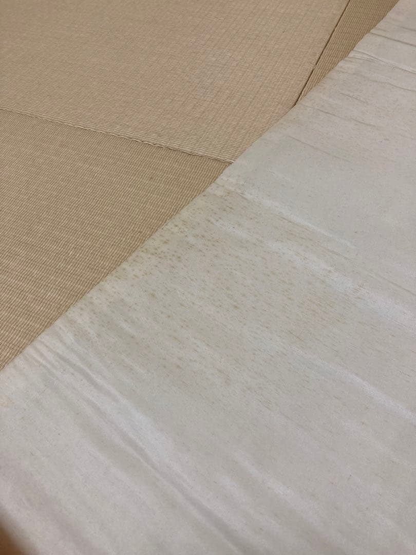 振袖　成人式　7点セット帯、小物付き