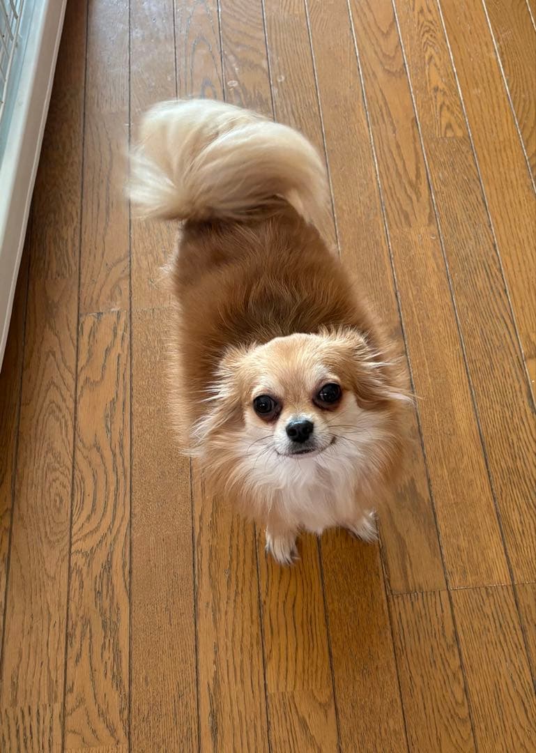 確認用