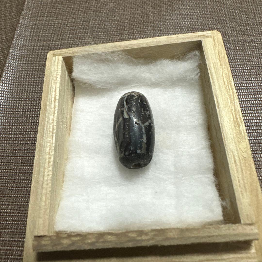 紅朱砂亀甲黒