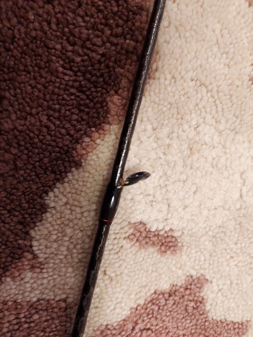 中古 シマノ ゾディアス 166ML-G/2