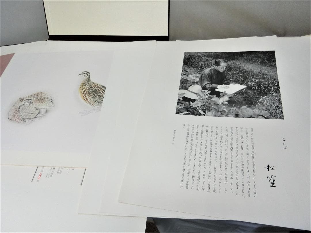 鑑賞　コレクション！【上村松篁　松篁素描　限定発行　銀座松屋　定価10万】◆絵画