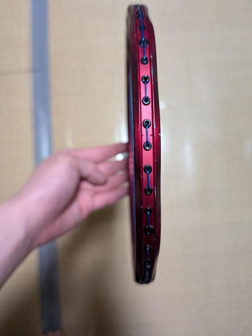 GOSEN インフェルノ レイド