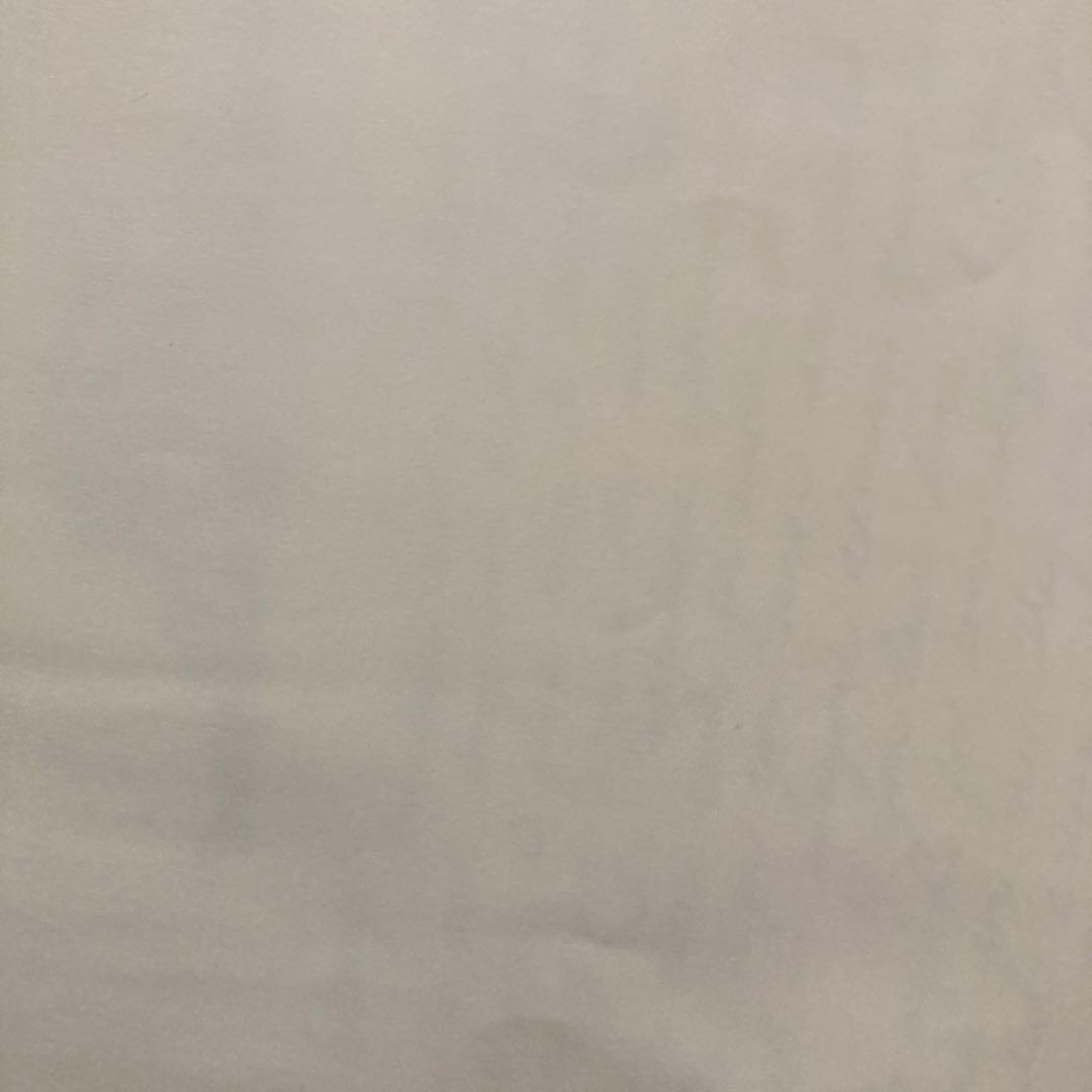 ブルースリー　Bruce Lee カンフー 公式グッズ　未開封手紙付き