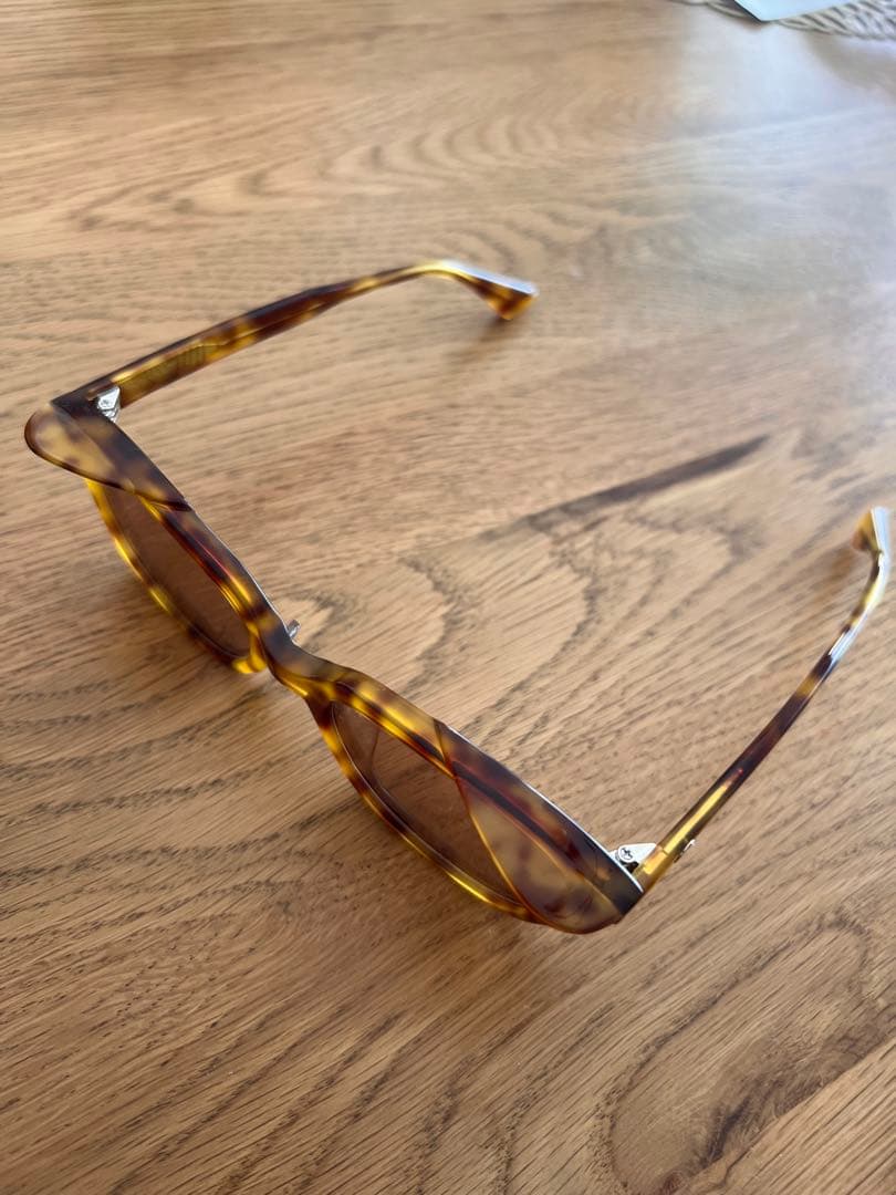 WCJ サングラス　猫耳サングラス　若槻千夏