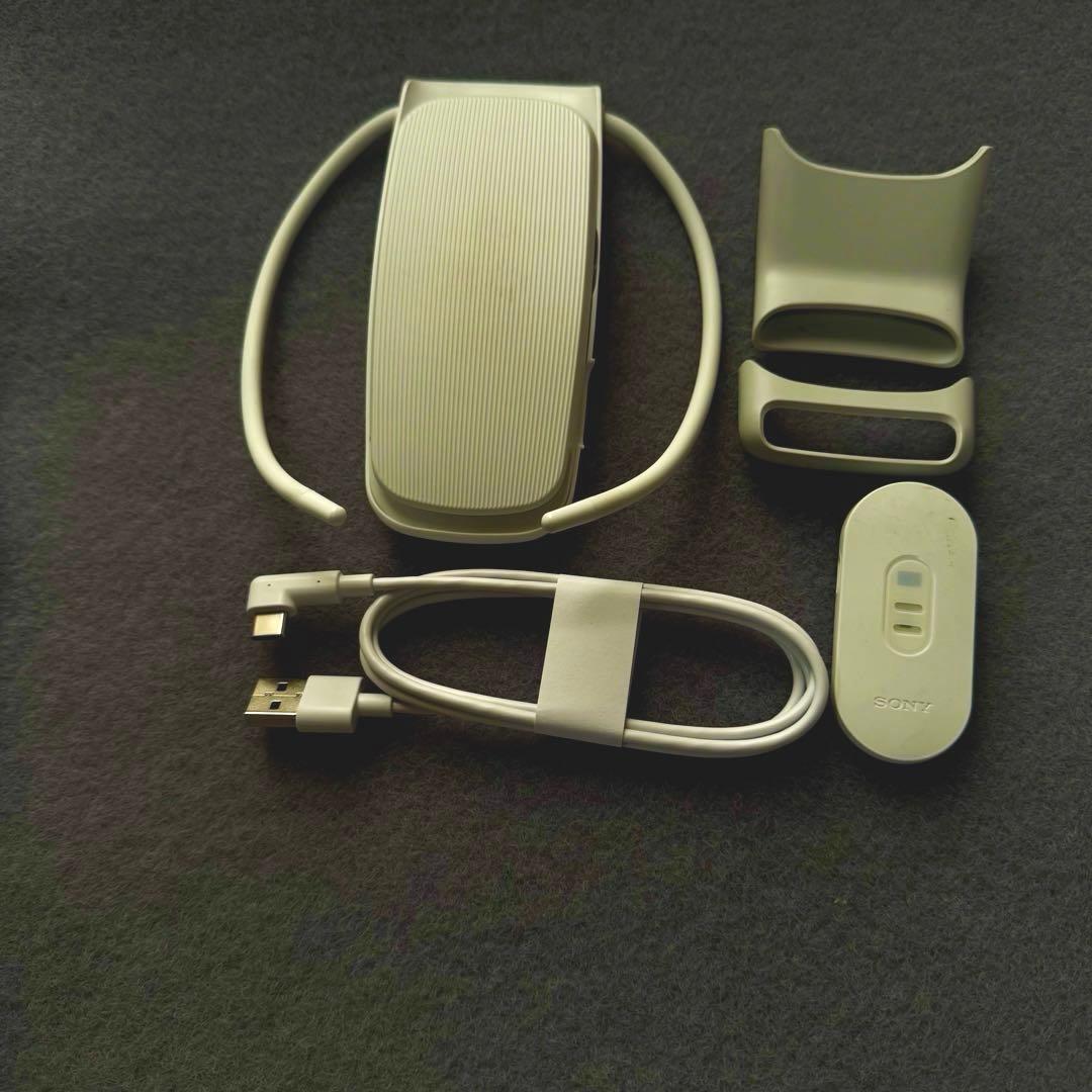 な*ʔ様 ソニー REON POCKET 5 センシングキット 純正ケース他 フ