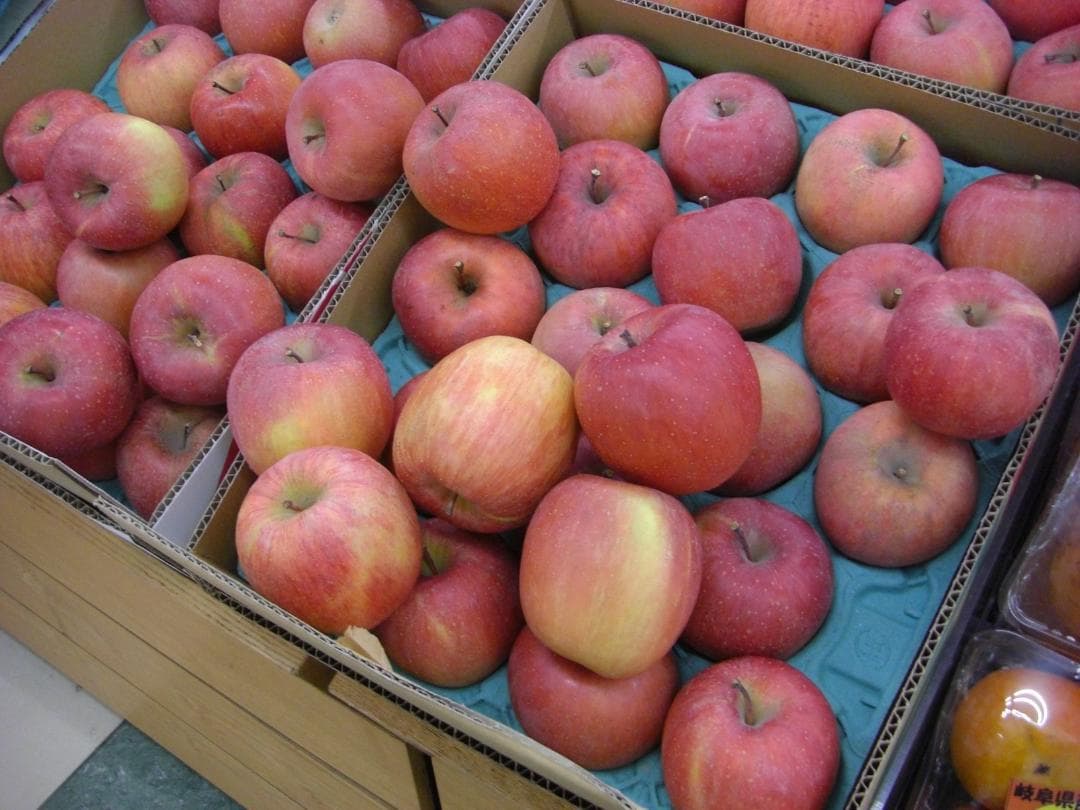 CASIO EXILIM EX-V8 デジタルカメラ