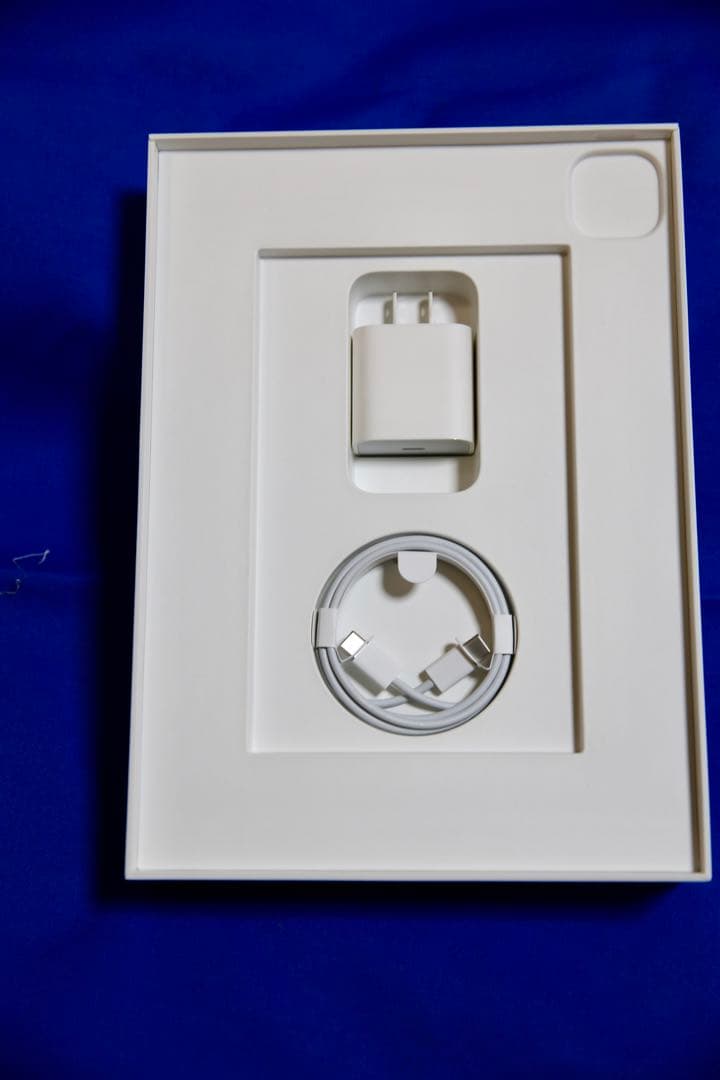 iPad Pro 11インチ 第2世代 Wi-Fi ＋ セルラー 256GB