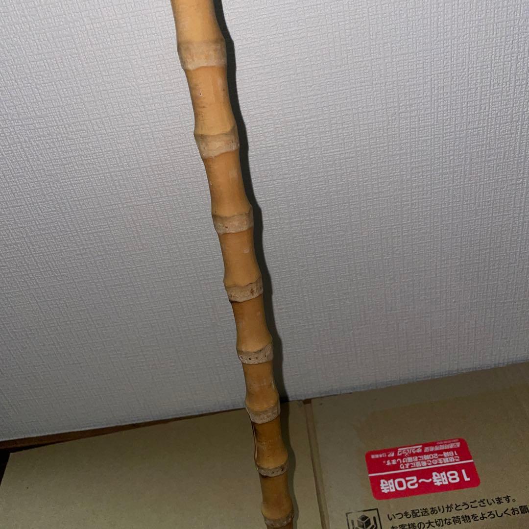 根鞭　ステッキ　竹　杖　アンティーク　ねぶち　曲がり竹