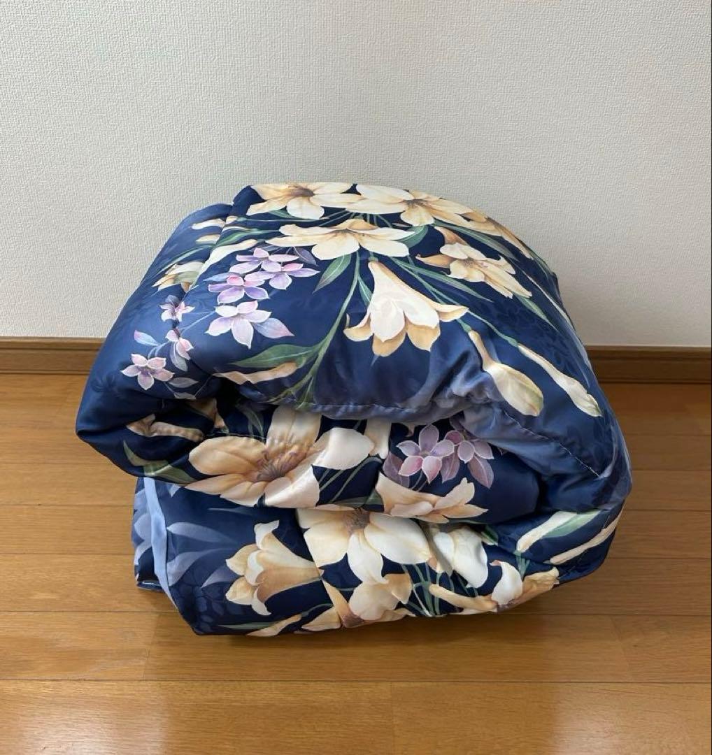 あんかけ丼　　シング1.7kg 2枚