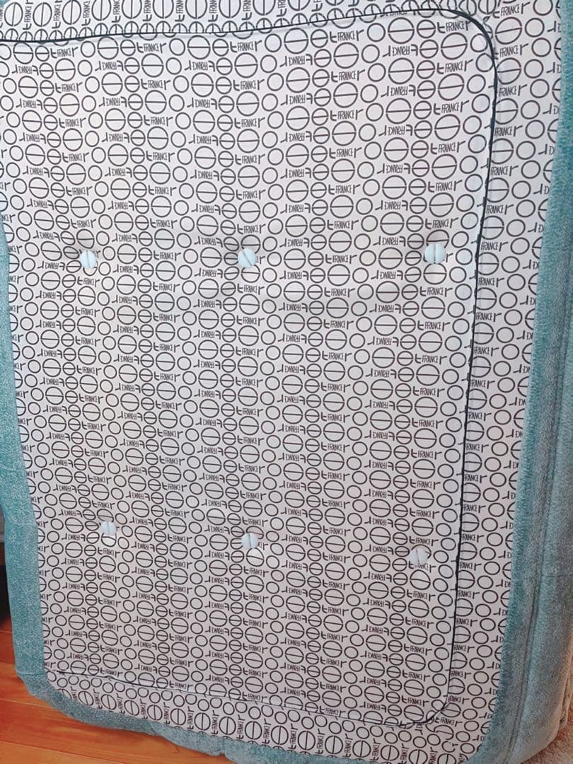 SALE❗️ligne roset ROSETTOGO 2P グリーン　ブルー