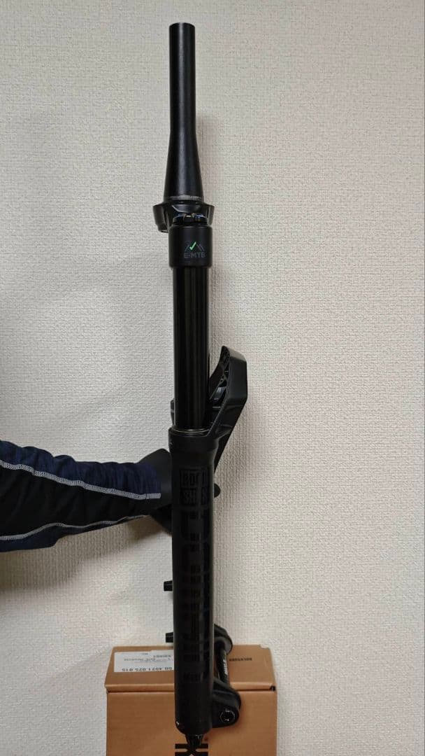 パーツ ROCKSHOX DOMAIN RC 1-1/8,1.8 160mm 29er