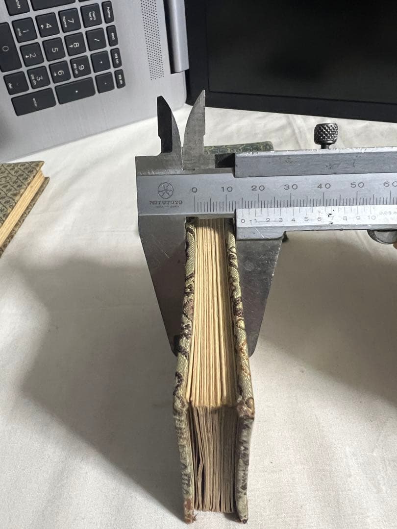 彩绘 書畫 中国美術