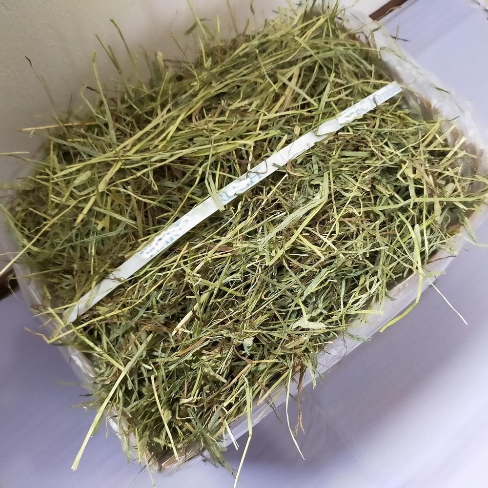 【3/23まで】US産 チモシー 30kg ２番刈 ソフトSプレミアム