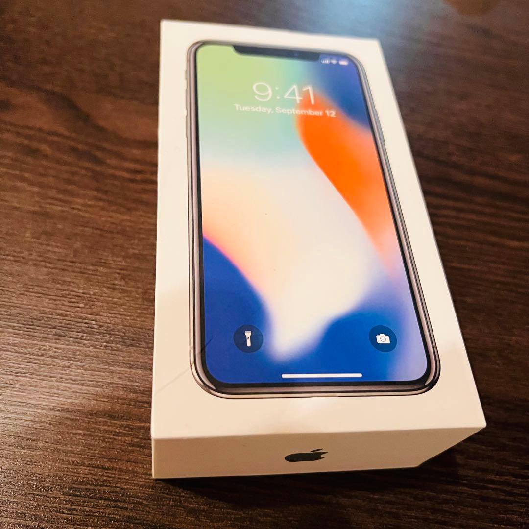 iPhone X 64GB 本体 SIMフリーデータ消去オプション込み