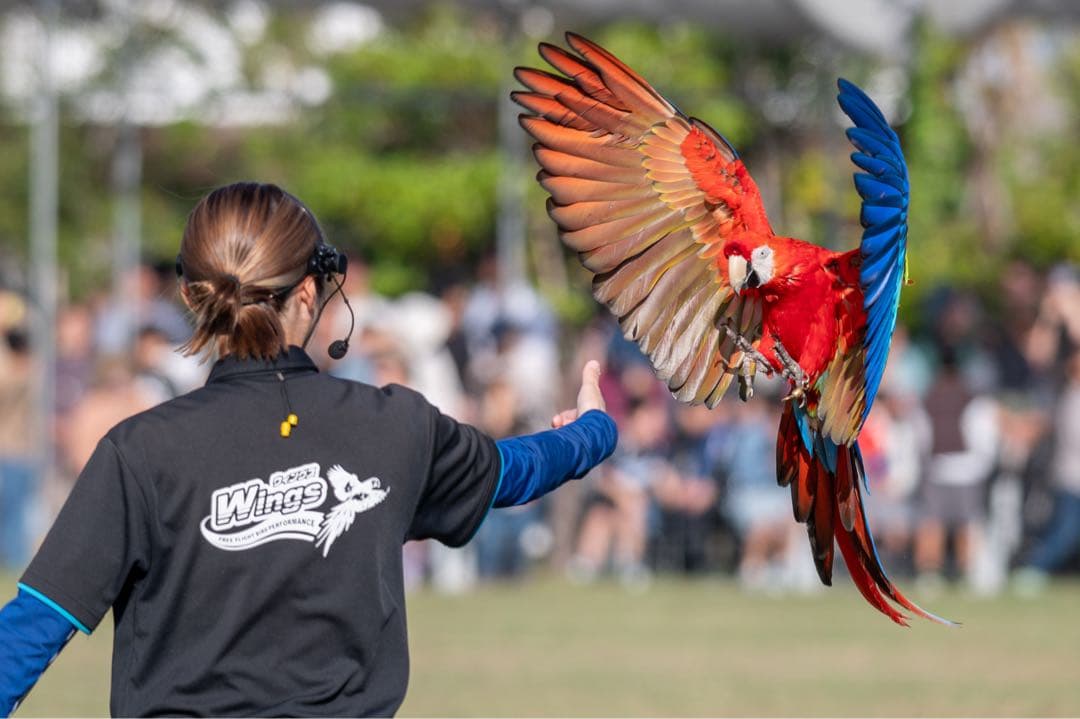 Nikon Z 6 ミラーレス一眼カメラ ボディ セット