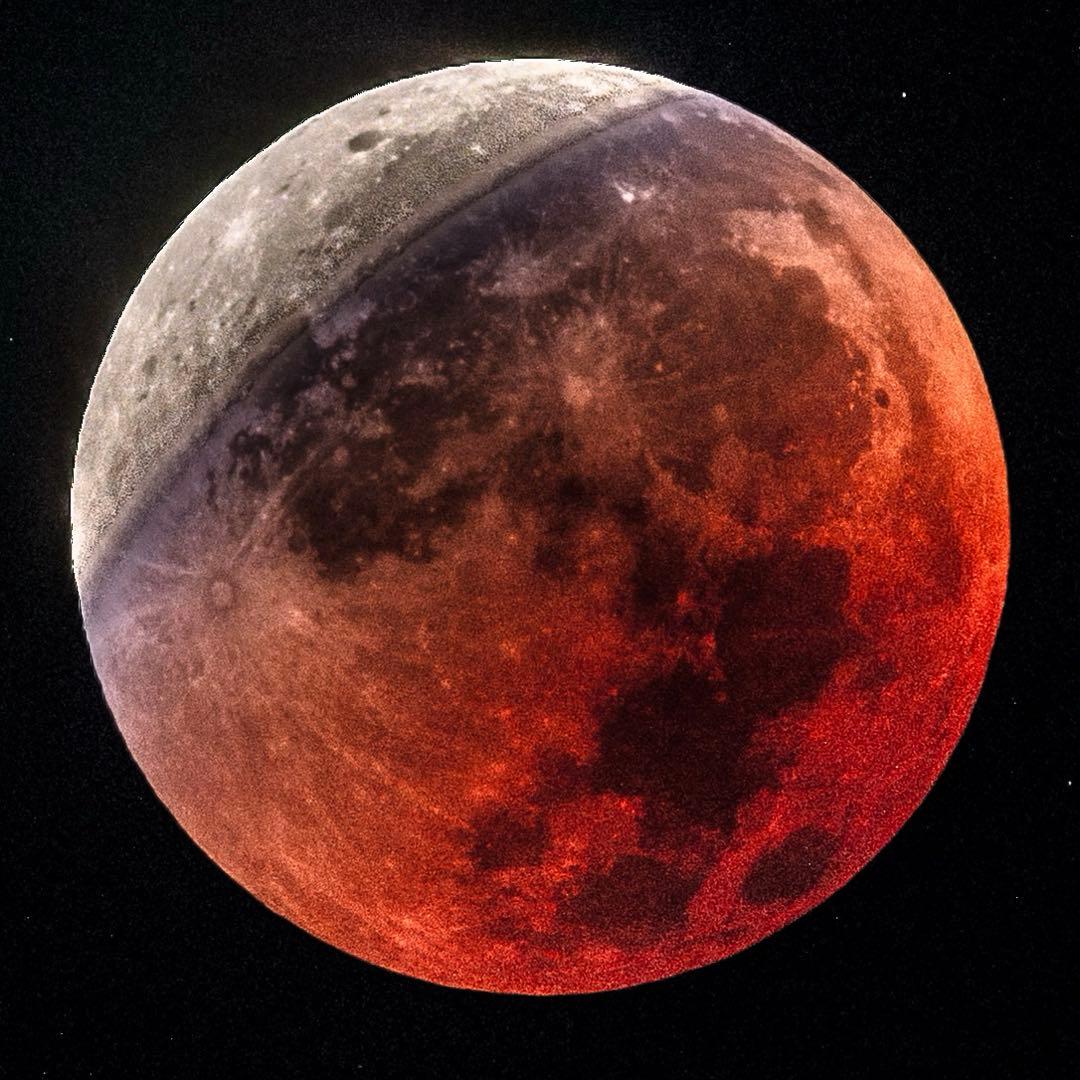 Nikon Z 6 ミラーレス一眼カメラ ボディ セット